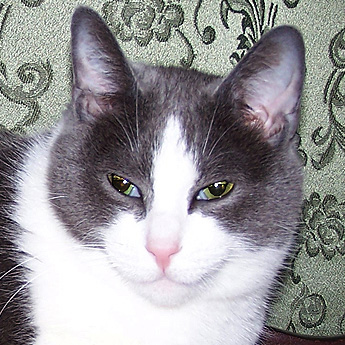 Beatrice