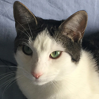 Oliver
