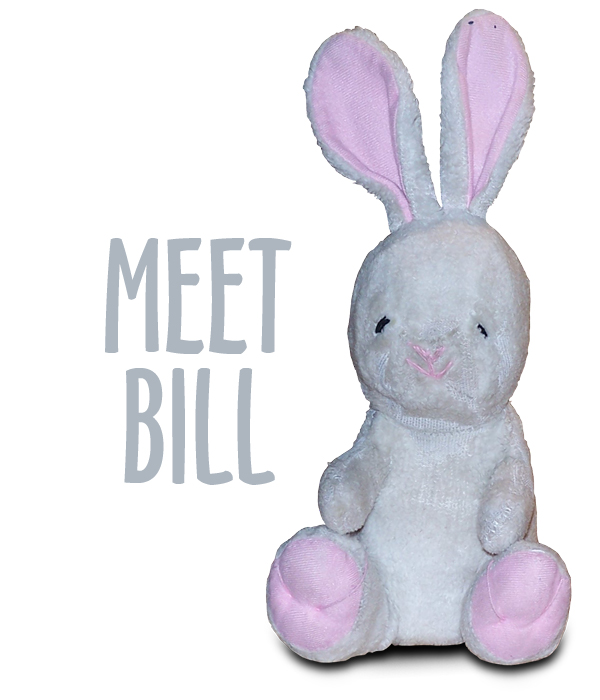 All About Bunny Bill