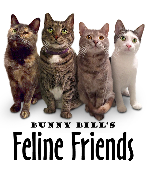 Bunny Bill's Feline Friends